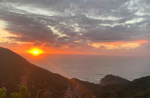 New Lynn House | Piha Tiny House