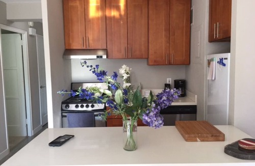 Downtown Seattle Condo | Pike Place , Convention Center, Cap Hill, Walk