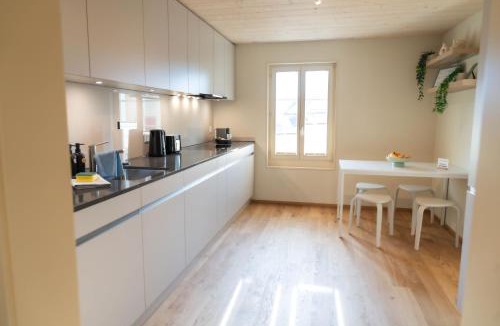 Alpnachstad Apartment | Pilatus Bijou I Lucerne & Interlaken I Cozy Charm