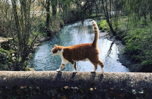Chandelles House | Pilgrim - modern cottage and cozy -jacuzzi
