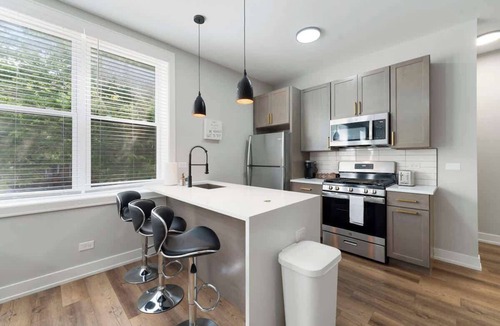 Lower West Side Apartment | Pilsen 2BA Condo Minutes from Chicago Attractions