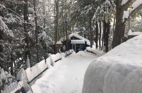 Gaines House | Pine Creek Treehouse