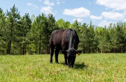 Union Hall House | Pine Haven Farms