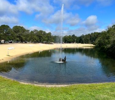 South Seaville Hotel | Pine Haven