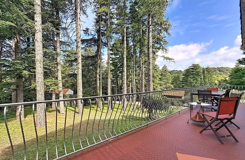 Durfort House | Pine House