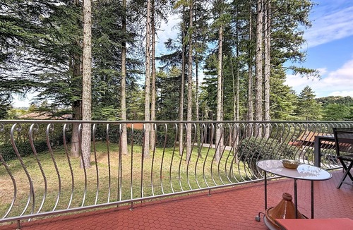 Durfort House | Pine House
