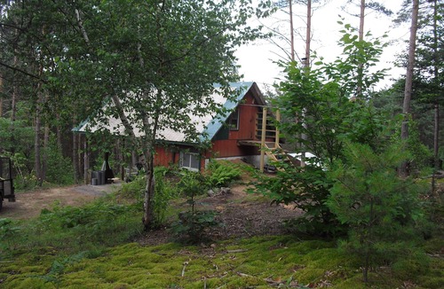 Lowville Cabin | Pine Marten Cabin At The King's Pines