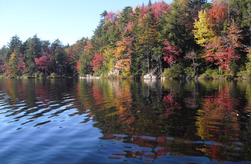 Lowville Cabin | Pine Marten Cabin At The King's Pines
