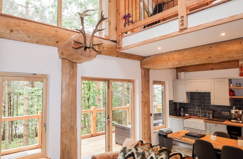 Grantown-on-Spey Cottage | Pine Marten Lodge