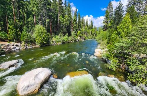 Dorrington House | Pine Paradise