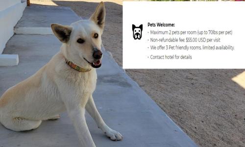 Century West Hotel | Pine Ridge Inn