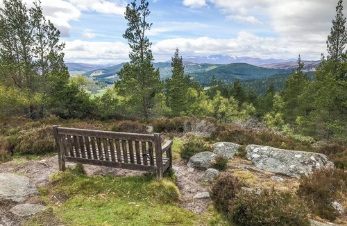 Ballater Cottage | Pine Tree Cottage - UK45925