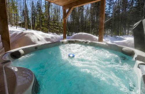 Amherst Ski Chalet | Pine Tree Lodge - Région Mont Tremblant - Laurentides