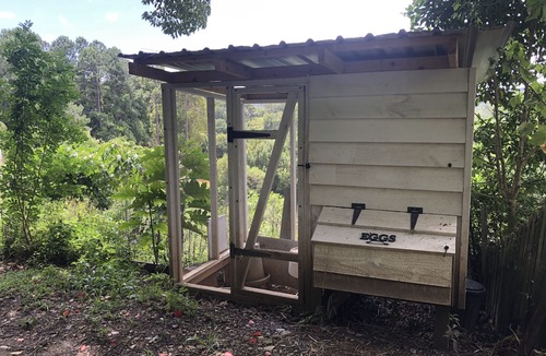 Currumbin Valley Cabin | Pine View Cabin