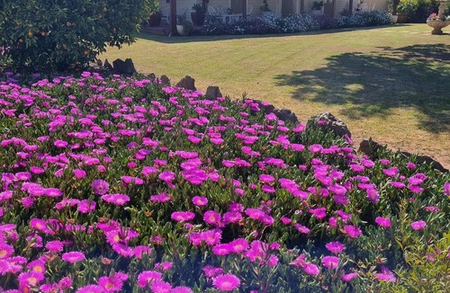 Narromine House | Pinetree Cottage Narromine