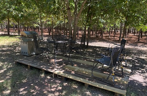 Bastrop House | PineyWoods House Forest Retreat