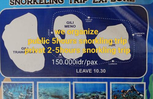 Gili Trawangan House | Ping Pong homestay Gili Trawangan