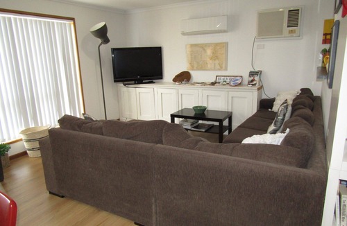 Para Wurlie House | Pinus Craziartus - Winter off Peak Special!