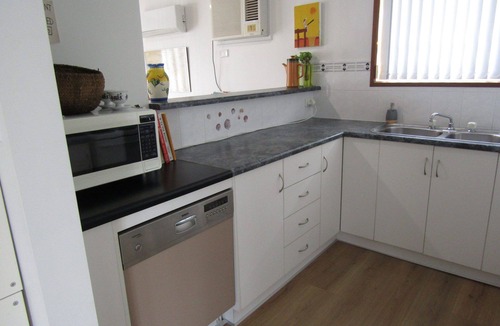 Para Wurlie House | Pinus Craziartus - Winter off Peak Special!