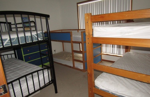 Para Wurlie House | Pinus Craziartus - Winter off Peak Special!