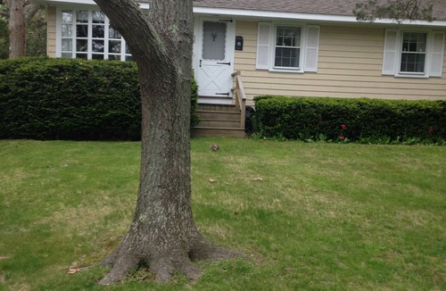 Silver Beach House | Plan your Cape Cod fall getaway now! Beach cottage steps from private beach!