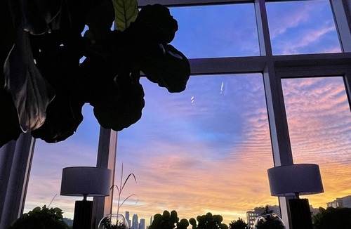 Williamsburg Apartment | PLANT PARADISE - HUGE 2BR/3BTH DUPLEX WITH PRIVATE TERRACE!