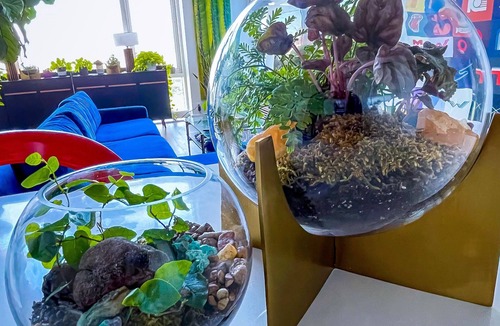 Williamsburg Apartment | PLANT PARADISE - HUGE 2BR/3BTH DUPLEX WITH PRIVATE TERRACE!