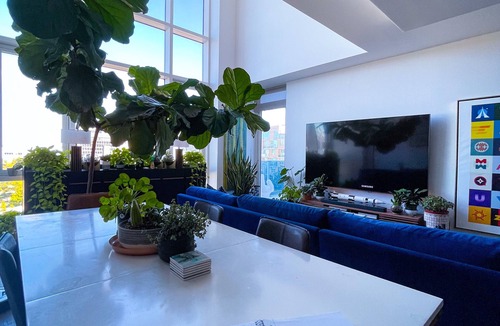 Williamsburg Apartment | PLANT PARADISE - HUGE 2BR/3BTH DUPLEX WITH PRIVATE TERRACE!
