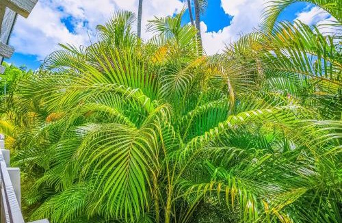 Wailua Apartment | Plantation Hale A10