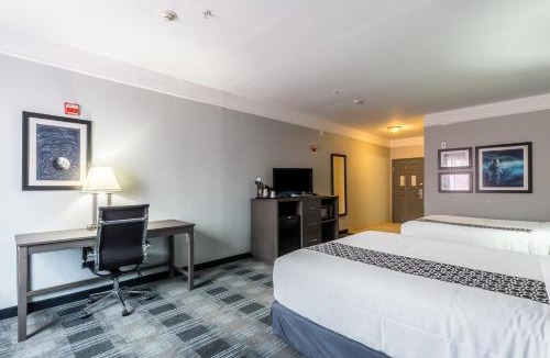 Webster Hotel | Platinum Inn & Suites Webster