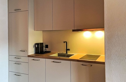 Gersau Apartment | Platten by Interhome