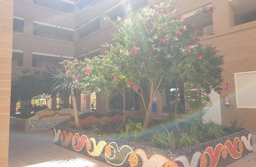 Cabanes Apartment | Playa Riberamed002