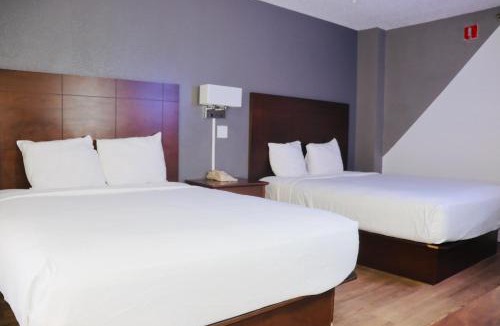 Survey Creek Hotel | Plaza Hotel Fort Lauderdale