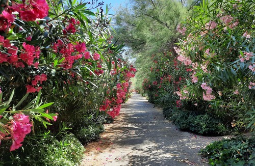 La Petite Motte Apartment | Pleasant, bright P2 - sleeps 5 with WIFI