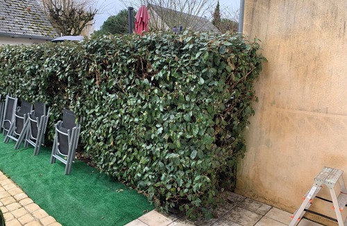 Blois House | Pleasant house, pool access in summer season.