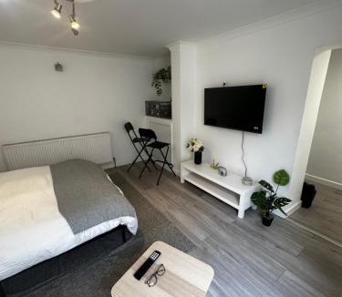 Glyndon Apartment | Plumstead one bed studio flat