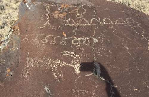 Plush House | Plush Bunkhouse Hart Mountain