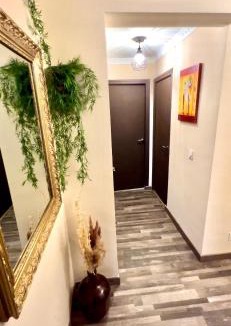 Celleneuve Apartment | Pluton