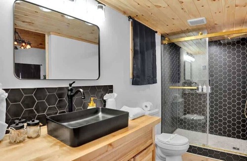 Canadensis Hotel | Pocono Modern Vaulted Pine | Firepits | Pickleball