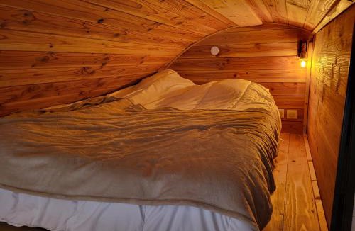 Ales Cabin | POD es Aqui