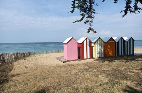 Le Grand-Village-Plage House | Pomme de Pin et Mimosa