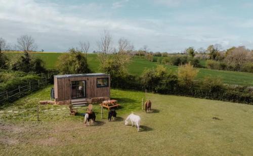 Landes-sur-Ajon Cabin | Pommiers - Parcel Tiny House - Tiny House en Normandie, près du Mont Saint-Michel MAE-0463