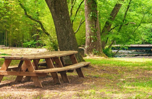 Hayesville Apartment | Ponderosa - Creekside