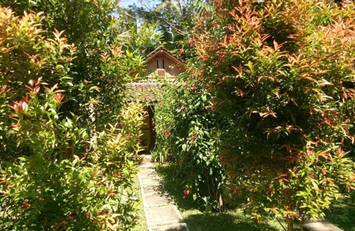 Banyuwangi House | Pondok for Four Pax at Didu Banyuwangi