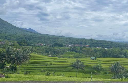 Sidemen House | Pondok Indah Homestay