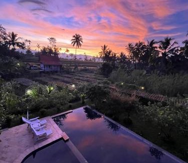 Banyuwangi House | Pondok Is Oke Bamboo Lodge