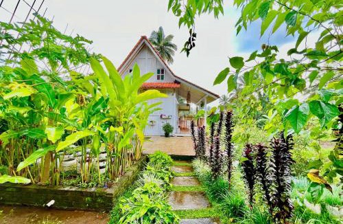 Banyuwangi Villa | Pondok Is Oke Family Room - 2 Bedroom Ricefild view