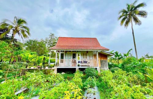 Banyuwangi Villa | Pondok Is Oke Family Room - 2 Bedroom Ricefild view