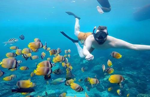 Mushroom Bay Resort | Pondok Lembongan