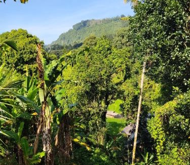 Sidemen House | Pondok Taksu Homestay Sidemen